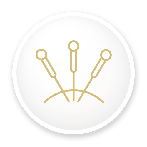 Acupuncture Icon